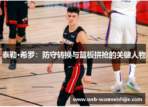 泰勒·希罗：防守转换与篮板拼抢的关键人物
