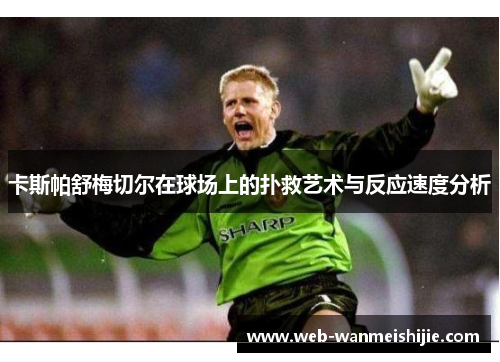 卡斯帕舒梅切尔在球场上的扑救艺术与反应速度分析