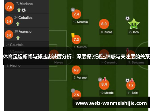 体育足坛新闻与球迷忠诚度分析：深度探讨球迷情感与关注度的关系