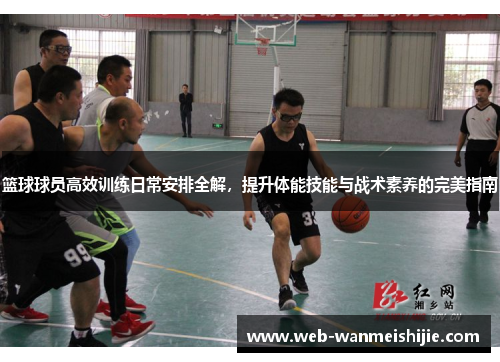 篮球球员高效训练日常安排全解，提升体能技能与战术素养的完美指南
