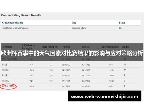 欧洲杯赛事中的天气因素对比赛结果的影响与应对策略分析