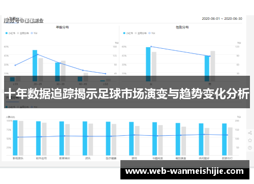 十年数据追踪揭示足球市场演变与趋势变化分析