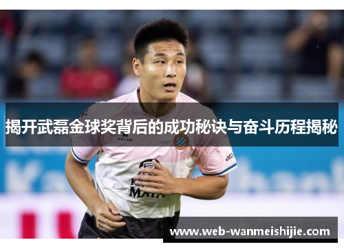 揭开武磊金球奖背后的成功秘诀与奋斗历程揭秘