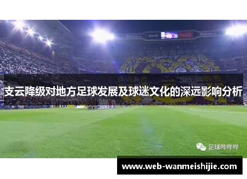 支云降级对地方足球发展及球迷文化的深远影响分析