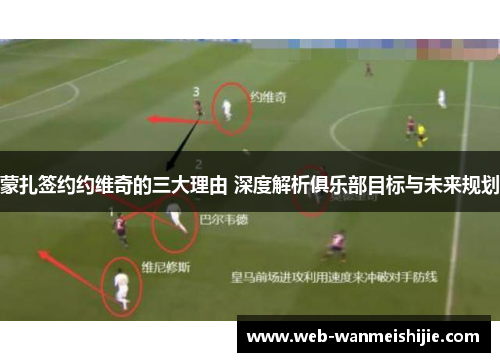 蒙扎签约约维奇的三大理由 深度解析俱乐部目标与未来规划