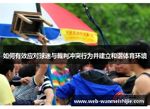 如何有效应对球迷与裁判冲突行为并建立和谐体育环境