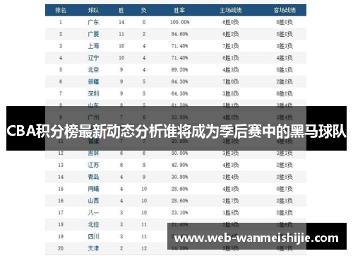 CBA积分榜最新动态分析谁将成为季后赛中的黑马球队