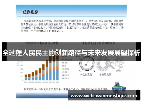 全过程人民民主的创新路径与未来发展展望探析