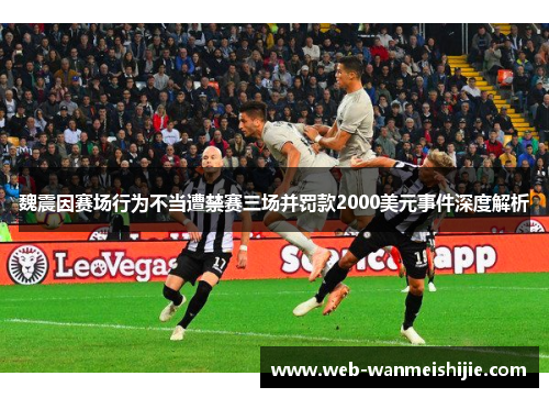 魏震因赛场行为不当遭禁赛三场并罚款2000美元事件深度解析