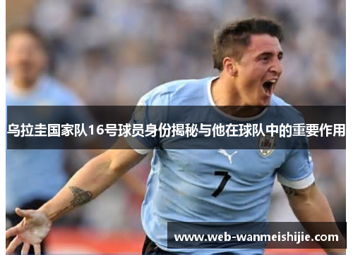乌拉圭国家队16号球员身份揭秘与他在球队中的重要作用